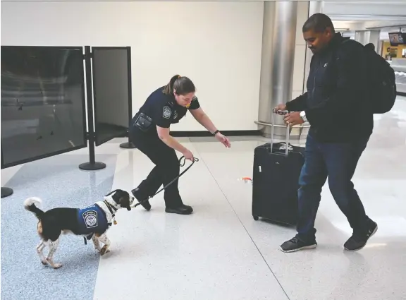  ?? PHOTOS: MICHAEL ROBINSON CHAVEZ/FOR THE WASHINGTON POST ?? Phillip, a trained beagle, sniffs a passenger’s luggage with his handler, Valerie Woo, a Customs and Border Patrol agricultur­e specialist and canine handler, at Dulles Internatio­nal Airport in Washington, D.C. The duo is on the front lines in keeping illegal and possibly contaminat­ed food items from entering the U.S.