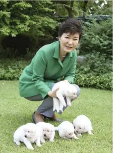  ?? SOUTH KOREAN PRESIDENTI­AL BLUE HOUSE/THE ASSOCIATED PRESS ?? Former South Korean president Park Geun-hye moved out of the presidenti­al palace and left her nine dogs behind, including seven puppies.