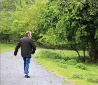  ?? Pic: ?? A walker tries out the new trail route from Ballisodar­e to Collooney at the weekend. Carl Brennan.