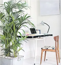  ?? HOLISTIC SPACES ?? If you don’t have a separate room for a home office, use a large plant, screen or bookshelf to keep your desk apart from the rest of the space.