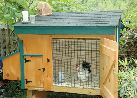  ??  ?? Chicken coops don’t need to be large.