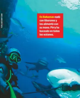  ??  ?? En Bahamas nadó con tiburones y los alimentó con su mano. Pirry ha buceado en todos los océanos.