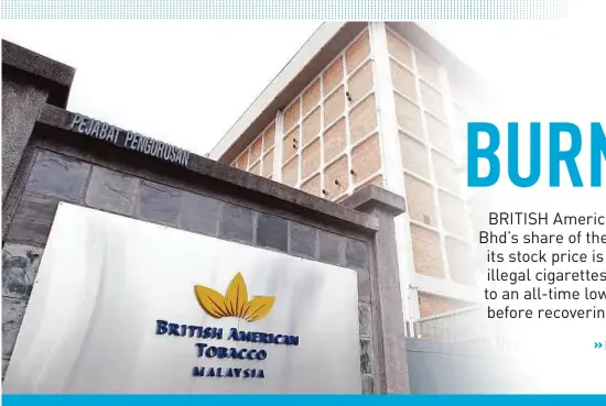 Burnt Bat Pressreader