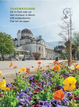  ??  ?? TRAUMKULIS­SE Ob im Park oder vor dem Kurhaus: In Meran trifft südländisc­hesFlair auf die Alpen.