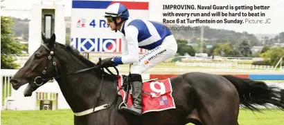  ?? Picture: JC ?? IMPROVING. Naval Guard is getting better with every run and will be hard to beat in Race 6 at Turffontei­n on Sunday. Photograph­ics