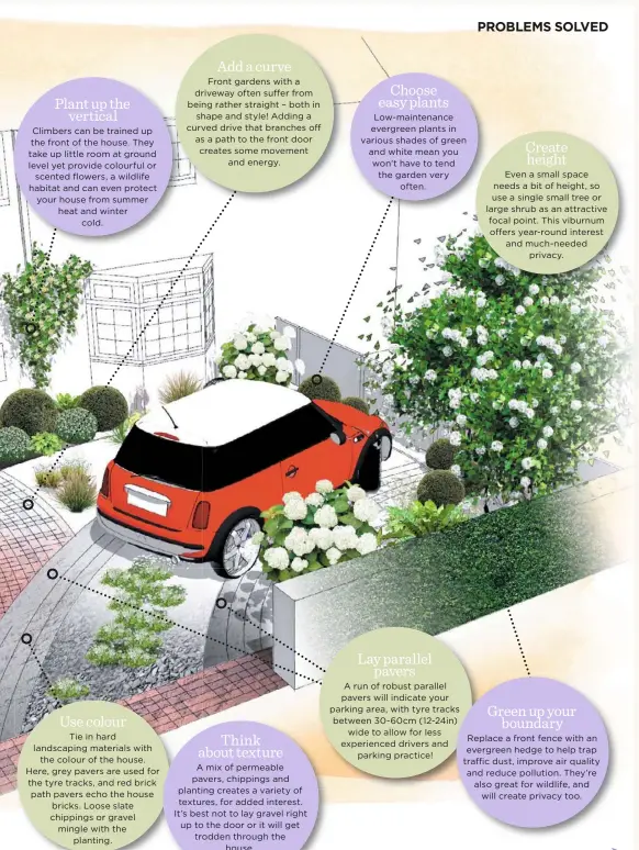  ??  ?? Plant up the vertical Climbers can be trained up the front of the house. They take up little room at ground level yet provide colourful or scented flowers, a wildlife habitat and can even protect your house from summer heat and winter cold.
Use colour
Add a curve
Front gardens with a driveway often suffer from being rather straight – both in shape and style! Adding a curved drive that branches off as a path to the front door creates some movement and energy.
Think about texture
Choose easy plants Low-maintenanc­e evergreen plants in various shades of green and white mean you won’t have to tend the garden very often.
Lay parallel pavers
A run of robust parallel pavers will indicate your parking area, with tyre tracks between 30-60cm (12-24in) wide to allow for less experience­d drivers and parking practice!
Create height
Even a small space needs a bit of height, so use a single small tree or large shrub as an attractive focal point. This viburnum offers year-round interest and much-needed privacy.
Green up your boundary Replace a front fence with an evergreen hedge to help trap traffic dust, improve air quality and reduce pollution. They’re also great for wildlife, and will create privacy too.