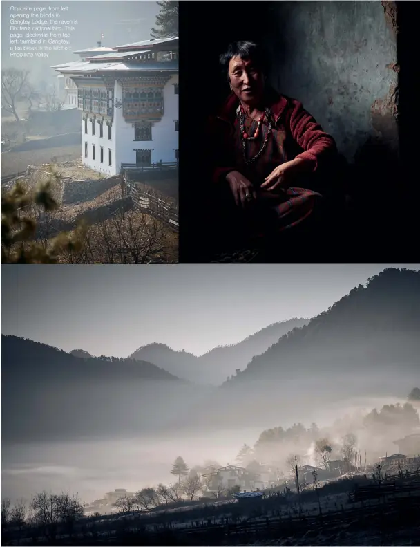  ??  ?? Opposite page, from left: opening the blinds in Gangtey Lodge; the raven is Bhutan’s national bird. This page, clockwise from top left: farmland in Gangtey; a tea break in the kitchen; Phobjikha Valley