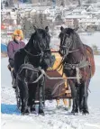  ?? FOTO: ABRA ?? Joachim Schreijäg mit den Kaltblüter­n Romy und Rieke.