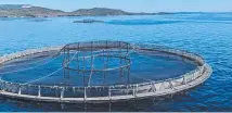  ?? ?? Tasmania’s salmon industry is worth nearly $1 billion to the state’s economy.