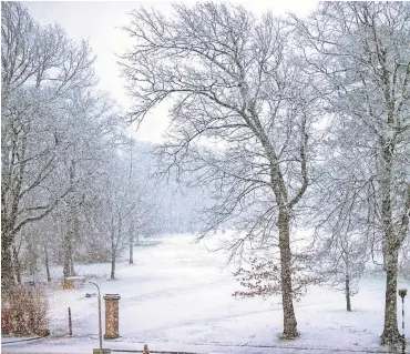  ?? ?? Snow way?
Storm Eunice brought wintry conditions to Paisley earlier this year