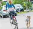  ?? FOTO: DPA ?? Zieht der Hund in eine andere Richtung, müssen Radfahrer die Leine loslassen können.