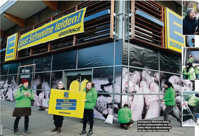  ??  ?? Greenpeace-Aktivisten bekleben die Außenschei­ben der Edeka-Filiale am Wiesendamm mit den Fotos der Schweine.