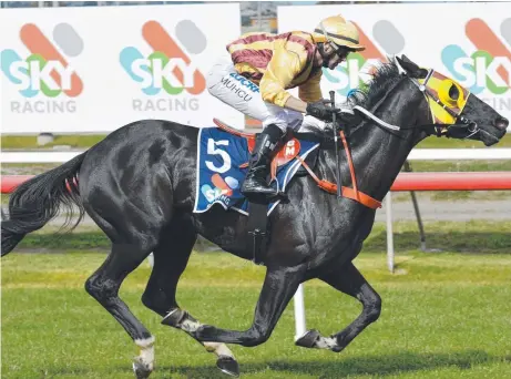  ?? Picture: TASRACING ?? CRUISY: Monmouth, with Bulent Muhcu aboard, cruises to an impressive maiden win in Launceston on Sunday.