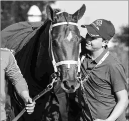  ?? BARBARA D. LIVINGSTON ?? Monomoy Girl, shown after winning the Breeders’ Cup Distaff, will bypass the Pegasus and rest up for her 4-year-old season.