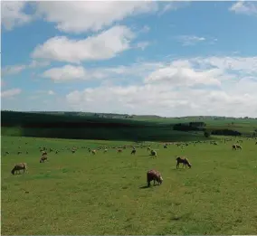  ?? FOTO: FREDALETTE UYS ?? Die onteiening van grond sonder vergoeding is strydig met die Grondwet en internasio­nale gemenereg.