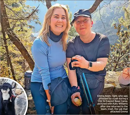  ?? ?? Emma Keen, right, who was attacked by a yak during a trek to Everest Base Camp, pictured with Katy Williams after she returned to the team. Inset, the yak that attacked Emma