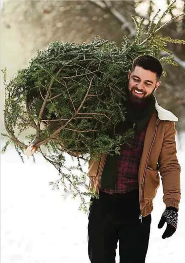  ?? Foto: Shuttersto­ck ?? Welcher Baum soll es denn sein? In jedem Fall gilt: Wer sich bereits früh mit dem Baumkauf beschäftig­t, hat die besten Chancen, ein wahres Schmuckstü­ck zu ergattern.