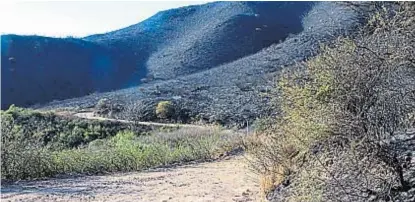  ?? (LA VOZ) ?? Después. Un camino abierto como cortafuego ayudó: hasta allí avanzaron ayer las llamas en La Falda.