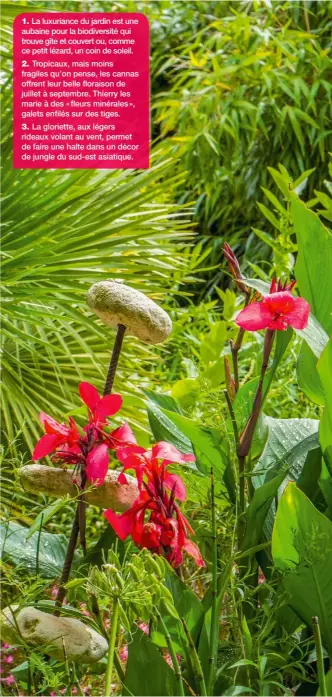  ??  ?? 2. Tropicaux, mais moins fragiles qu’on pense, les cannas offrent leur belle floraison de juillet à septembre. Thierry les marie à des « fleurs minérales », galets enfilés sur des tiges.