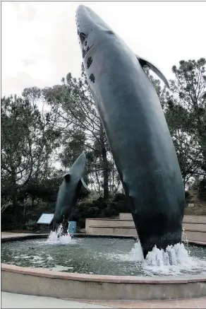  ??  ?? La Jolla’s Birch Aquarium gives families a great way to learn about a variety of sea creatures without the large crowds and long lines.