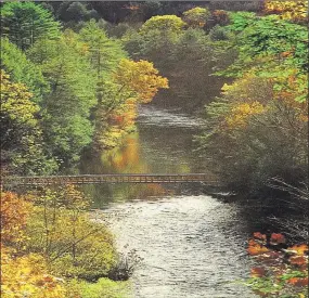  ?? Contribute­d photo ?? The Hauser footbridge over the Shepaug River.