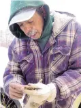  ?? THERESA DAVIS/JOURNAL ?? Santa Clara Pueblo forester Steven Sandoval looks for healthy pinecone seeds at Bandelier National Monument.