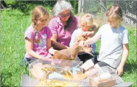  ??  ?? Wendy Sporle with the next generation of conservati­onists, granddaugh­ters Alana, Lucy and Sienna Renwick, and some of the props she uses to encourage others to champion the national bird.