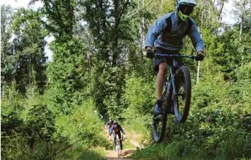  ?? Foto: Tobias Karrer ?? Im Wald gibt es den Interessen­konflikt von Spaziergän­gern, Waldbesitz­ern und Mountainbi­kern. Eine Mountainbi­kerin fordert nun legale Strecken für die Radfahrer.