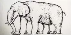  ?? Foto: Gerlinde Drexler ?? Ein Beispiel aus den „Augenspiel­en“: Wie viele Beine hat der Elefant? Eine einfache Frage ... oder etwa doch nicht?