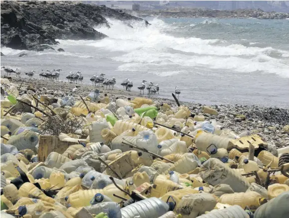  ?? (Photo: AFP) ?? In this file photo taken on July 19, 2018 seagulls search for food near a sewage discharge area next to piles of plastic bottles and gallons washed away by the water on the seaside of Ouzai, south of Beirut.