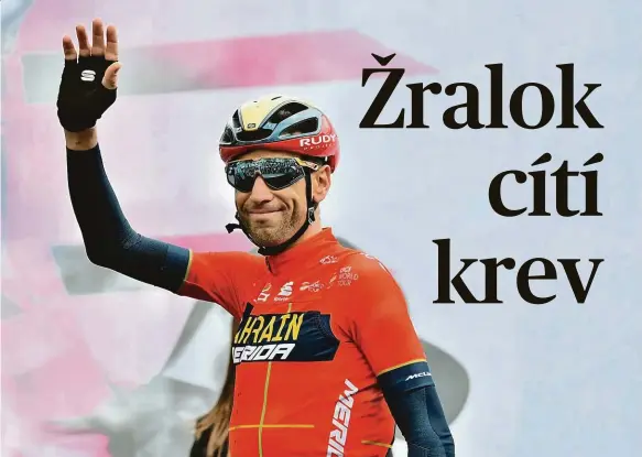  ?? Foto: Profimedia.cz ?? Veterán je ve formě Vincenzo Nibali se drží na předních pozicích Gira a myšlenky na třetí celkové prvenství může živit už od startu letošního ročníku.