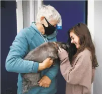  ?? Paul Chinn / The Chronicle 2020 ?? Displaced by by wildfires, Marie Stefanesko and granddaugh­ter Lily Katznelson comfort their dog, Jack, outside their room at the Beach Street Inn and Suites in Santa Cruz while waiting for evacuation orders to be lifted in August 2020.