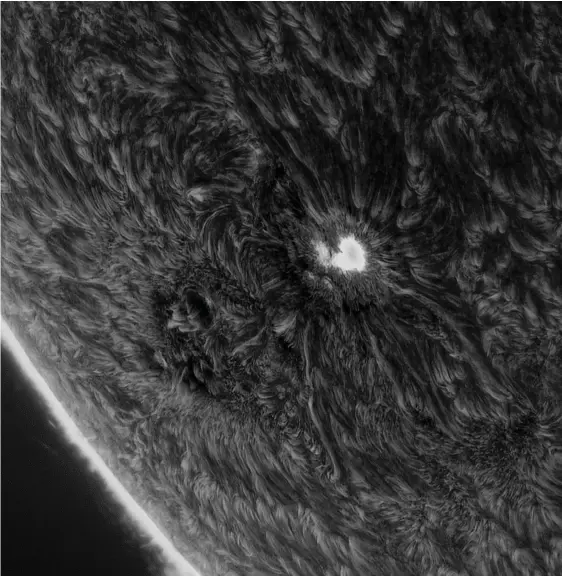  ?? Siu Fone Tang (USA) ?? The spotty Sun (above): Our Sun may be middle-aged but it acts more like a teenager – restless, sometimes violent and covered in spots. Called sunspots, these “holes” are cooler areas on the surface, formed when the Sun’s rotation twists up its magnetic field and inhibits convection. This image depicts the chromosphe­re – one of the Sun’s three layers – as hot plasma flickers along the magnetic field lines.