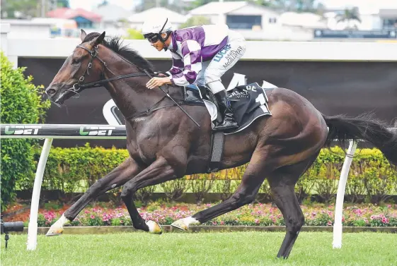  ?? Picture: AAP IMAGE ?? Smart three-year-old Ef Troop deserves a change of luck in Sydney on Saturday, says his trainer Tony Gollan