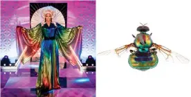  ?? Photograph: CSIRO/BBC World of Wonder ?? ‘I was watching a lot of RuPaul’s Drag Race while examining the species and I know it would challenge RuPaul on the runway serving fierce looks.’ RuPaul and Opaluma rupaul.