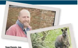  ??  ?? Sean Dennis , top, whohas spotted Wilf the wallaby near his company premises in Warboys.