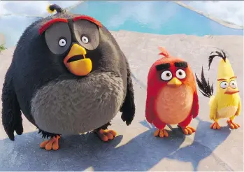  ?? PHOTOS: SONY PICTURES ?? Angry Birds goes for broke with a visceral visual approach.