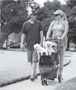  ?? EMILY MICHOT emichot@miamiheral­d.com ?? James and Lindsey Johnson walk Mako and Kona through their Winter Park neighborho­od. The dogs bring the couple much joy and have helped assuage the grief over the loss of their son.