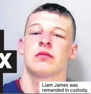  ??  ?? Liam James was remanded in custody.