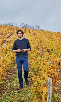  ??  ?? Matthieu Delaporte in the Domaine Delaporte vineyard.