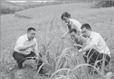  ?? PROVIDED TO CHINA DAILY ?? Client managers of Agricultur­al Bank of China’s branch in the Guangxi Zhuang autonomous region visit a rural area earlier this year to check on sugarcane cultivatio­n.