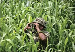  ?? (image credit -Channi Anand) ?? An Indian Border Security Force (BSF) soldier keeps vigil near the India Pakistan border at Garkhal in Akhnoor, about 35 kilometres west of Jammu, India, Tuesday, Aug.13, 2019.