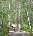  ?? CHELSEY LEWIS / MILWAUKEE JOURNAL SENTINEL ?? The Heart of Vilas County Bike Trail travels for 45 miles in Vilas County.