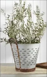  ?? POTTERY BARN VIA AP ?? Pottery Barn’s vintage Turkish olive harvesting pot has character and style; fill it with an herb plant, or use it to store soaps or hand towels in a bath.