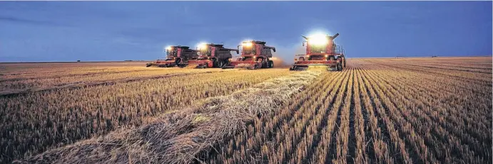  ?? ARCHIVO LA NUEVA. ?? Hay una luz de esperanza.
A pesar de los pronóstico­s, el campo argentino tiene buenas expectativ­as respecto del futuro.