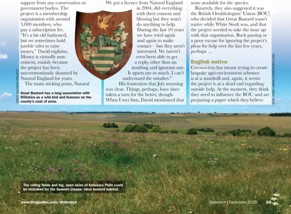  ??  ?? Great Bustard has a long associatio­n with Wiltshire as a wild bird and features on the county’s coat of arms.
The rolling fields and big, open skies of Salisbury Plain could be mistaken for the Spanish steppe: ideal bustard habitat.