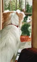  ??  ?? 2Robbie Fitzpatric­k, Doggie in the Window, watercolor, 17 x 11"