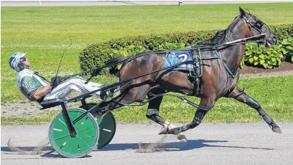  ?? JASON SIMMONDS/JOURNAL PIONEER ?? Marc Campbell will drive Rose Run Quest in the top pace at Red Shores Racetrack and Casino at the Charlottet­own Driving Park on Saturday evening.