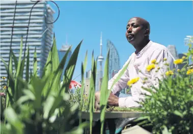  ?? RENE JOHNSTON TORONTO STAR ?? “We cannot carry on about the recovery (in the restaurant industry) unless we talk about the elephant in the room: systemic racism,” says chef Bashir Munye, who teaches at George Brown College’s culinary school.