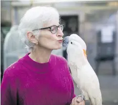  ?? — THE CANADIAN PRESS FILES ?? Volunteer Jan Robson kisses Bob, a Moluccan cockatoo. There are 70 adoptable rescue parrots looking for a forever home.